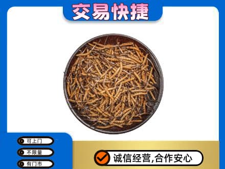 伊春回收散虫草